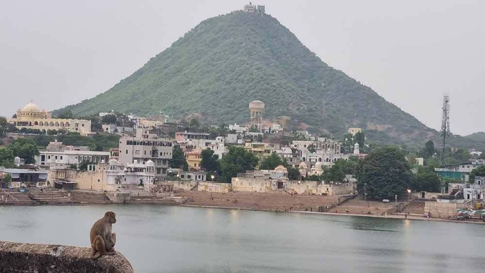 Pushkar, is among others, famous for its holy lake. The lake has 52 ghats, and about 400 white and blue-coloured temples surround it and make the atmosphere more spiritual and divine as you can listen to magical chants from temples... Which sometimes can be a bit annoying when it continues throughout the night! ๐ Pushkar, is among others, famous for its holy lake. The lake has 52 ghats, and about 400 white and blue-coloured temples surround it and make the atmosphere more spiritual and divine as you can listen to magical chants from temples... Which sometimes can be a bit annoying when it continues throughout the night! ๐