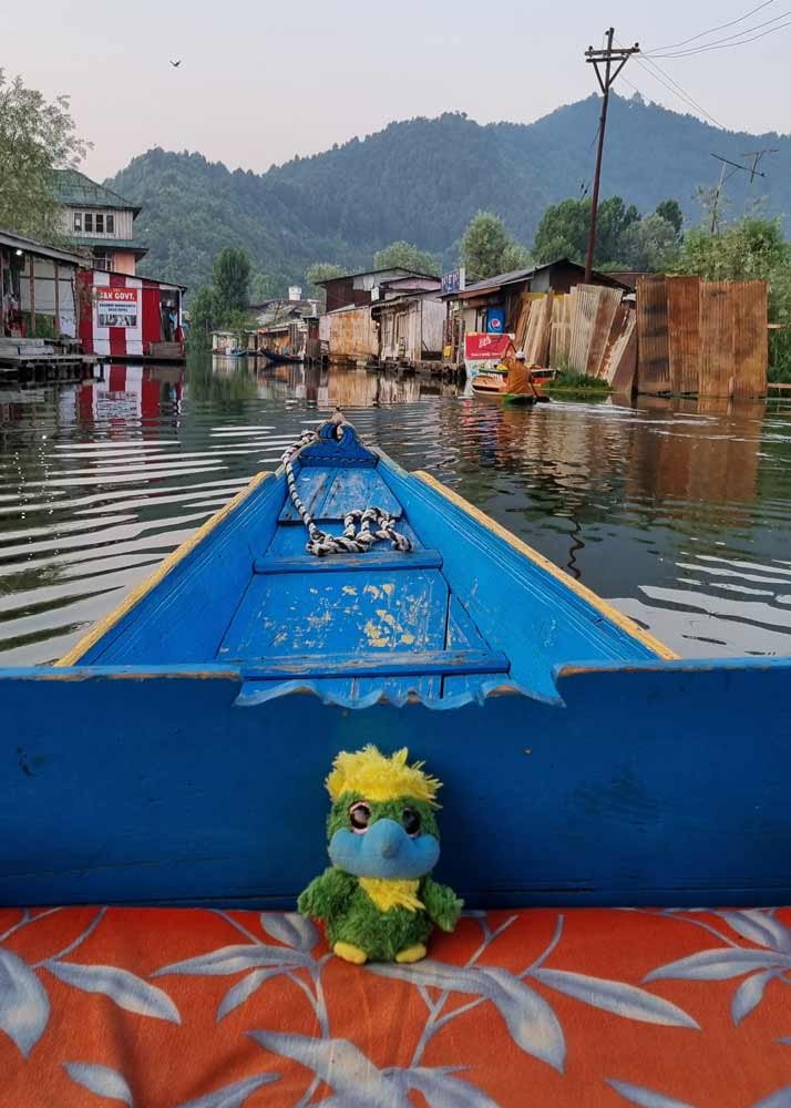 Floating on the lakes in Srinagar. Floating on the lakes in Srinagar.