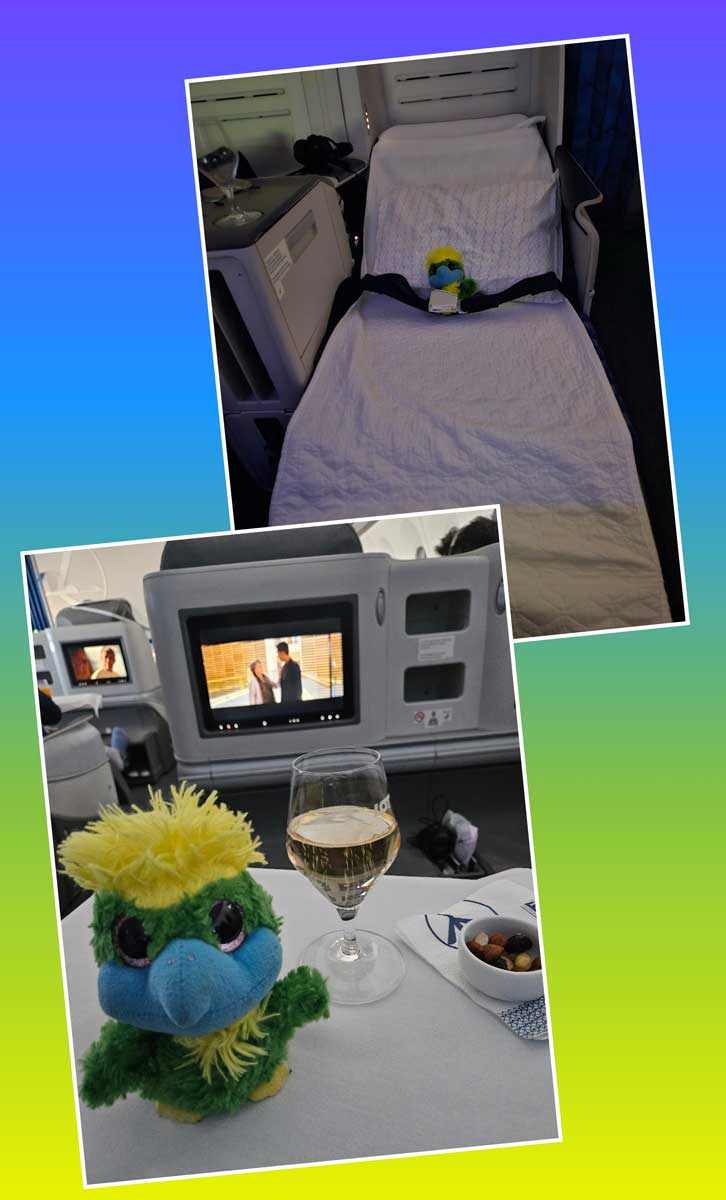 Wihiiiiโฆ. Upgraded to Business Class and getting tipsy on Champagne is fuuuun! ๐ฅ Buckled up for a good nights sleep, in a bed, on a plane, in the sky! Wihiiiiโฆ. Upgraded to Business Class and getting tipsy on Champagne is fuuuun! ๐ฅ
Buckled up for a good nights sleep, in a bed, on a plane, in the sky!
