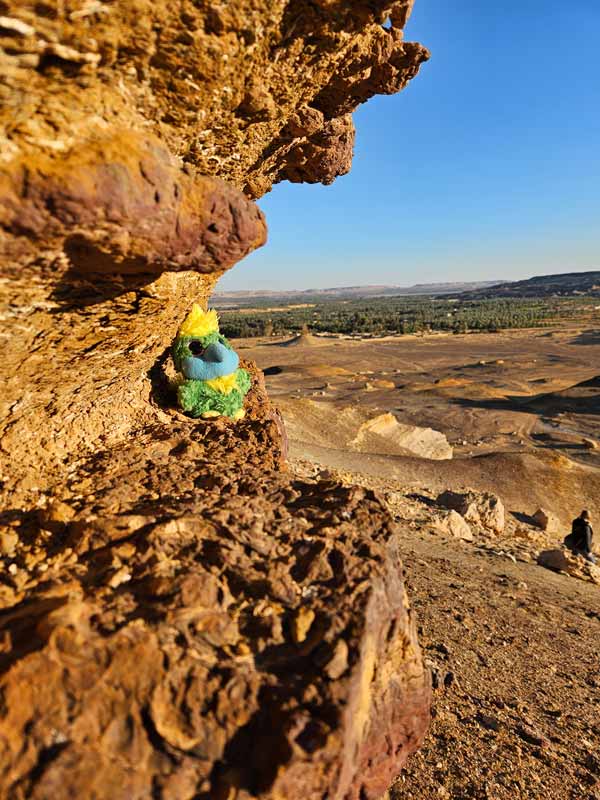 Enjoying the sunset and the view of Bahariya Oasis.