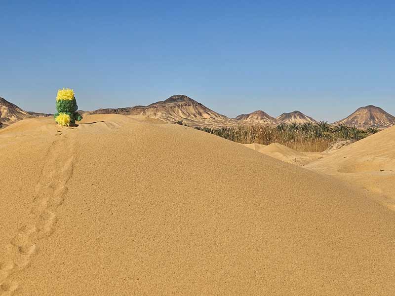 Phew... climbing sand dunes is hard, but sooo worth it for the view.