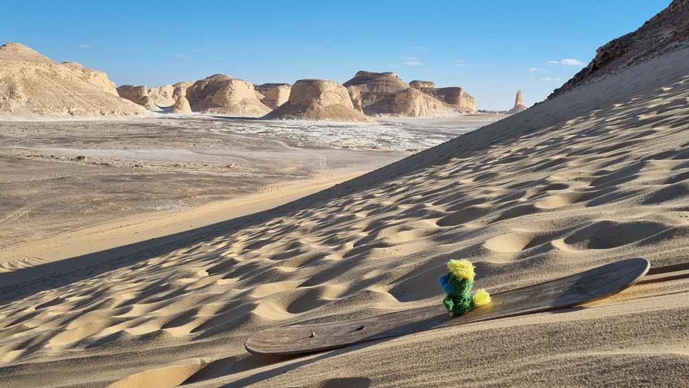 Wihiii... First ever eagle doing sandboarding in the Valley of Agabat! 🏂