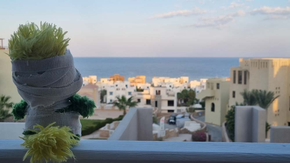 Looking into the horizon and already dreaming of the next trip (while secretly looking forward to getting rid of all the dust and become the shiny and glorious himself again)