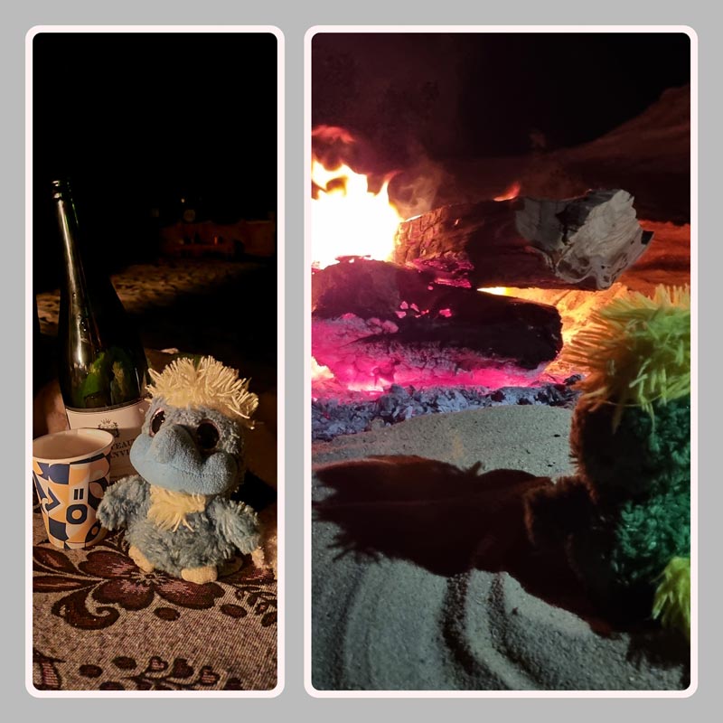 New Year's Eve bonfire! The perfect way to start 2025 was drinking bubbles from papercups! 🥤